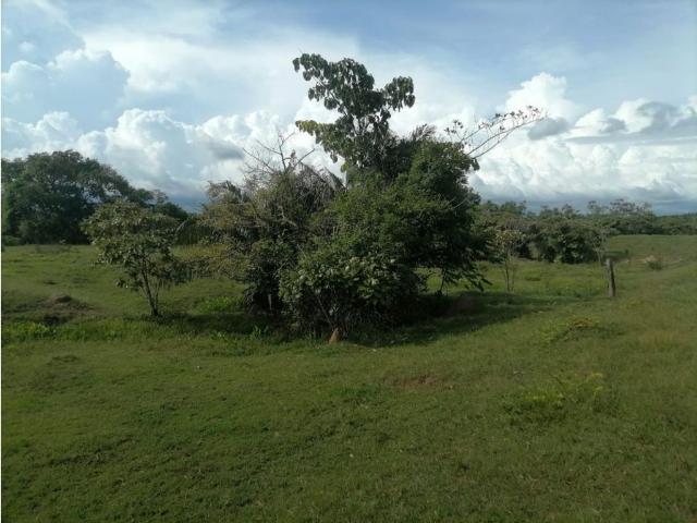 Cortijo de alto standing de 6000000 m2 en venta Tierralta, Colombia
