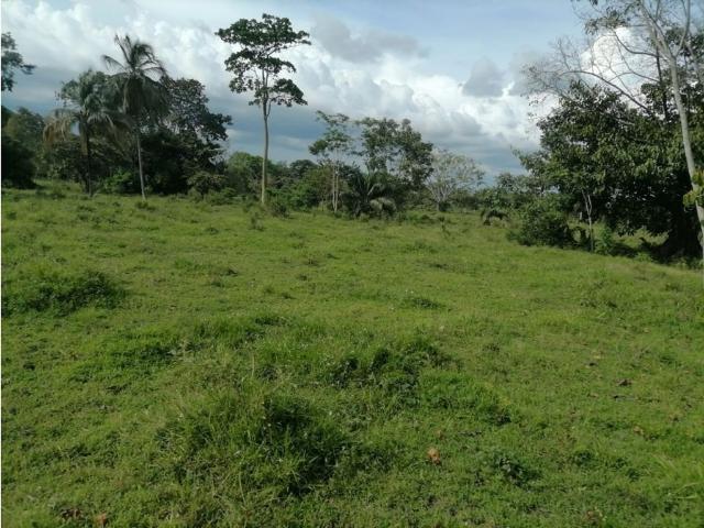 Cortijo de alto standing de 6000000 m2 en venta Tierralta, Colombia