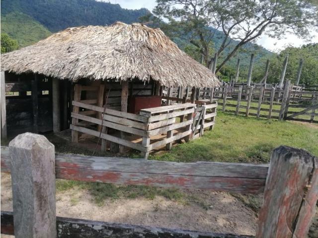 Cortijo de alto standing de 6000000 m2 en venta Tierralta, Colombia