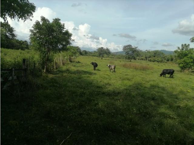 Cortijo de alto standing de 6000000 m2 en venta Tierralta, Colombia