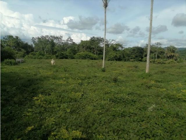 Cortijo de alto standing de 6000000 m2 en venta Tierralta, Colombia