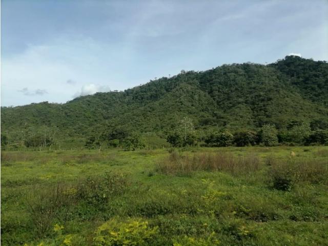 Cortijo de alto standing de 6000000 m2 en venta Tierralta, Colombia