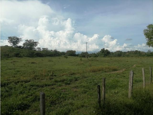 Cortijo de alto standing de 6000000 m2 en venta Tierralta, Colombia