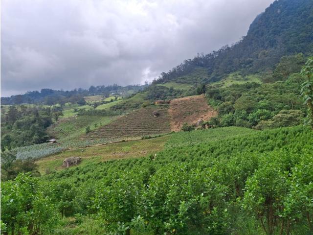 Finca en venta en Cundinamarca