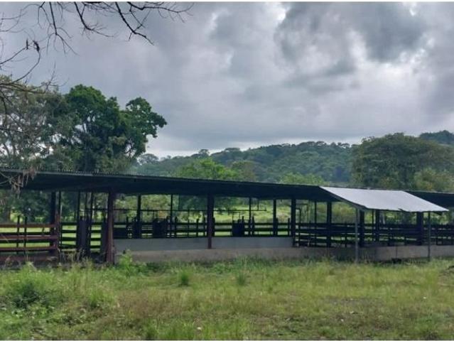 Cortijo de alto standing de 60000 m2 en venta Ciudad de Panamá, Panamá