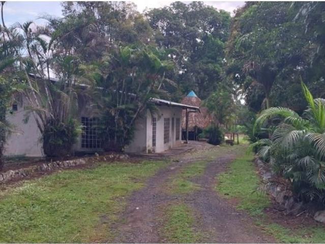 Cortijo de alto standing de 60000 m2 en venta Ciudad de Panamá, Panamá