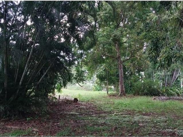 Cortijo de alto standing de 60000 m2 en venta Ciudad de Panamá, Panamá