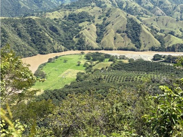 Finca en venta en Betulia, Yariguíes