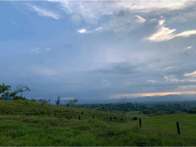 Finca en venta en Quindío