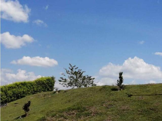 Cortijo de alto standing de 640000 m2 en venta La Victoria, Colombia