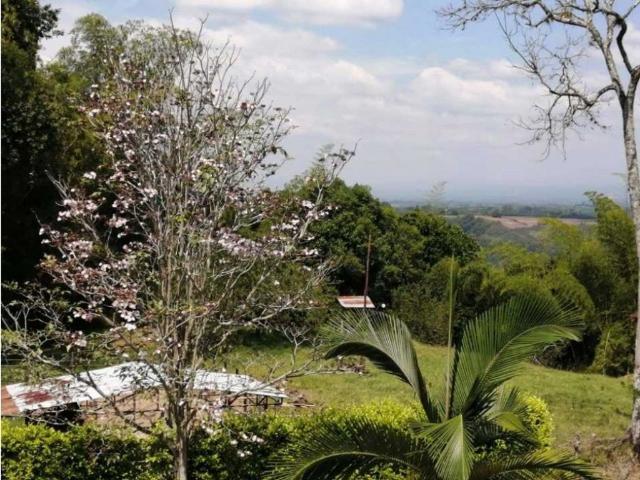 Cortijo de alto standing de 640000 m2 en venta La Victoria, Colombia