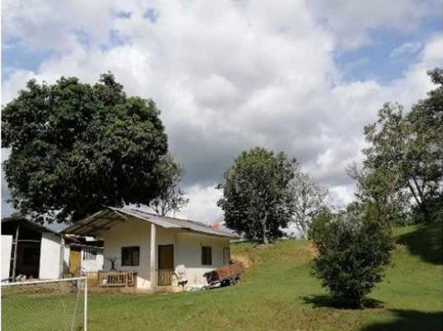 Cortijo de alto standing de 640000 m2 en venta La Victoria, Colombia