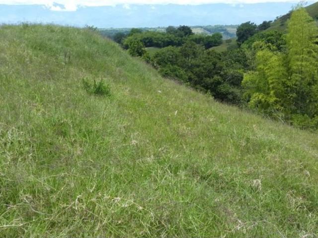 Cortijo de alto standing de 640000 m2 en venta La Victoria, Colombia