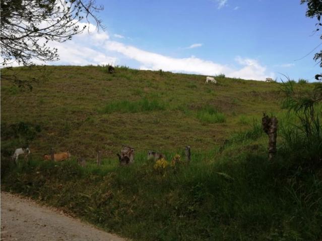 Cortijo de alto standing de 640000 m2 en venta La Victoria, Colombia