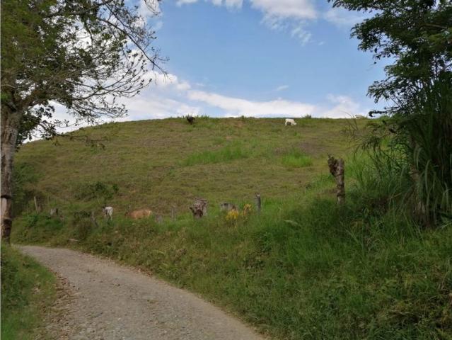 Cortijo de alto standing de 640000 m2 en venta La Victoria, Colombia