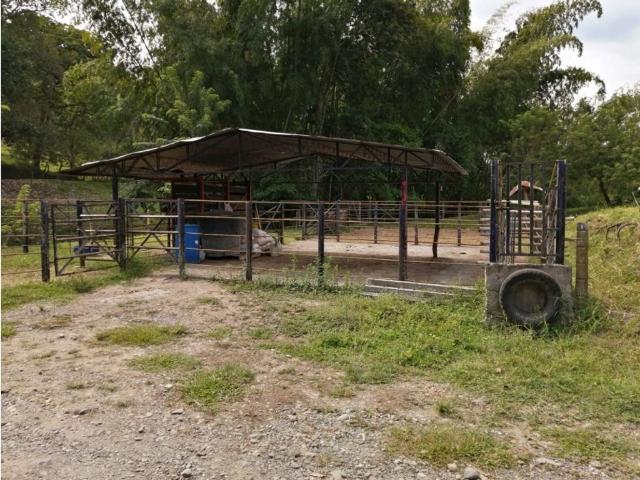 Cortijo de alto standing de 640000 m2 en venta La Victoria, Colombia