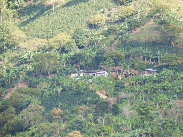 Finca en venta en Quindío