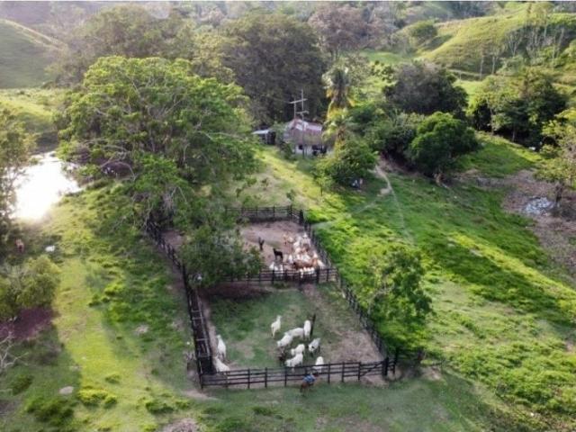 Finca en venta en Boyacá, Occidente