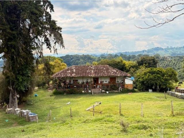 Finca en venta en Quindío