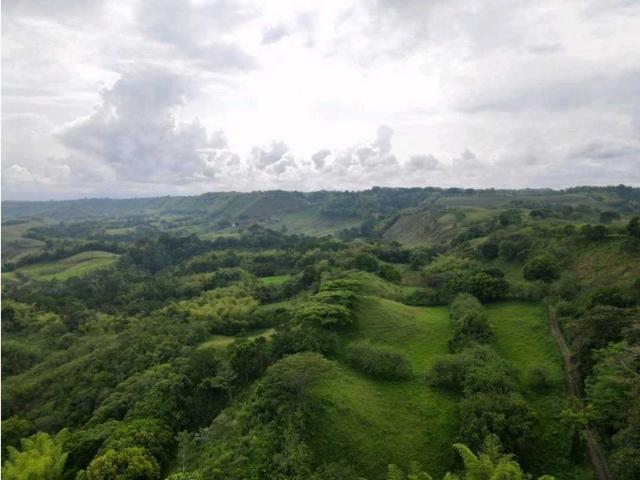 Finca en venta en Quindío