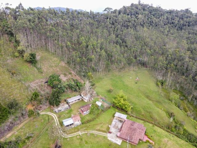 Finca en venta en Antioquia, Nordeste
