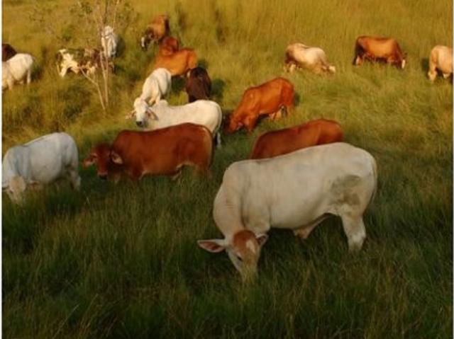 Finca en venta en Antioquia, Magdalena Medio