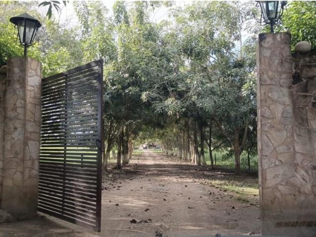 Finca en venta en Córdoba