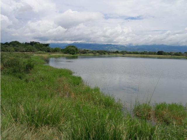 Finca en venta en Tolima