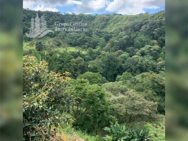 Cortijo de alto standing de 80000 m2 en venta Boquete, Panamá