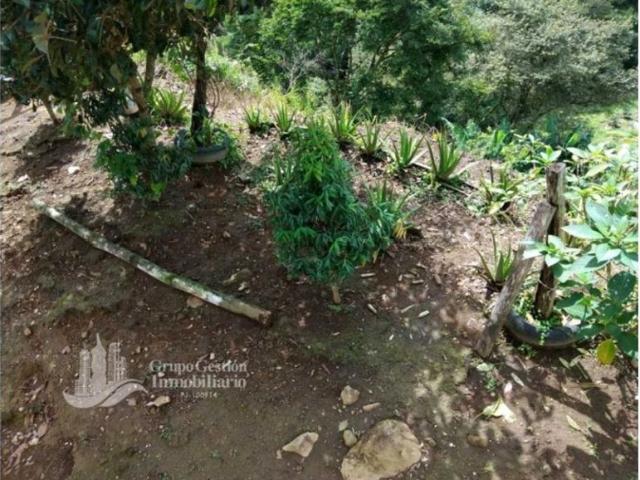 Cortijo de alto standing de 80000 m2 en venta Boquete, Panamá