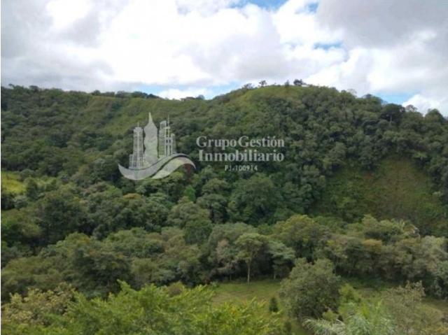 Cortijo de alto standing de 80000 m2 en venta Boquete, Panamá