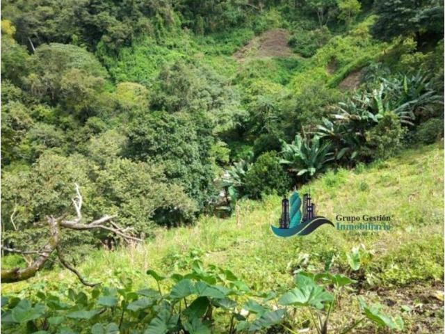 Cortijo de alto standing de 80000 m2 en venta Boquete, Panamá