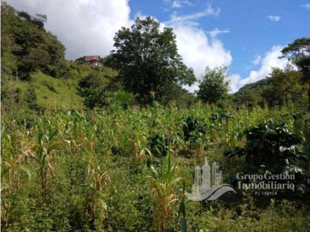 Cortijo de alto standing de 80000 m2 en venta Boquete, Panamá