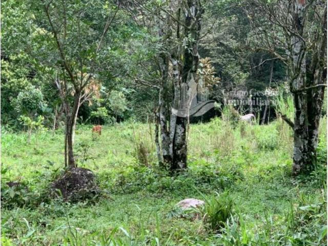 Cortijo de alto standing de 80000 m2 en venta Boquete, Panamá