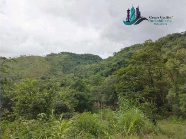 Cortijo de alto standing de 80000 m2 en venta Boquete, Panamá