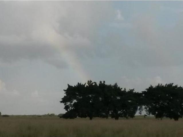 Rancho en venta en Balancán, Tabasco