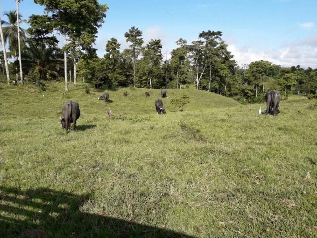 Finca en venta en Santander