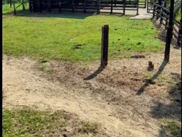 Finca en venta en Santander