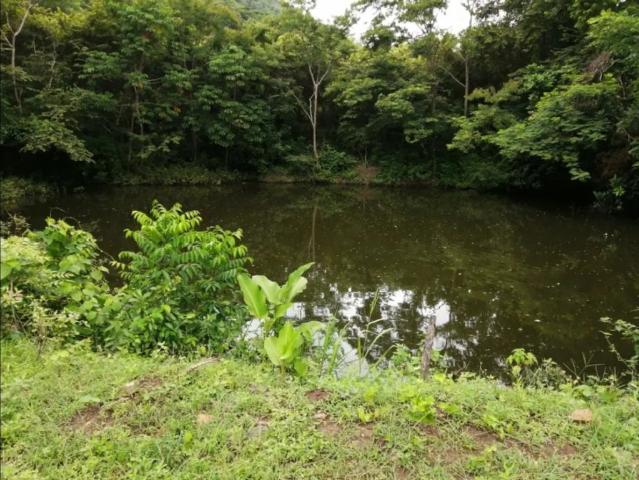 Cortijo de alto standing de 880000 m2 en venta Capira, Panamá
