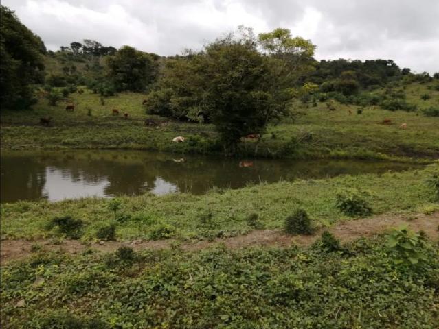 Cortijo de alto standing de 880000 m2 en venta Capira, Panamá