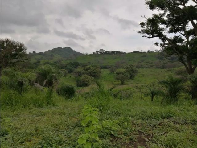 Cortijo de alto standing de 880000 m2 en venta Capira, Panamá
