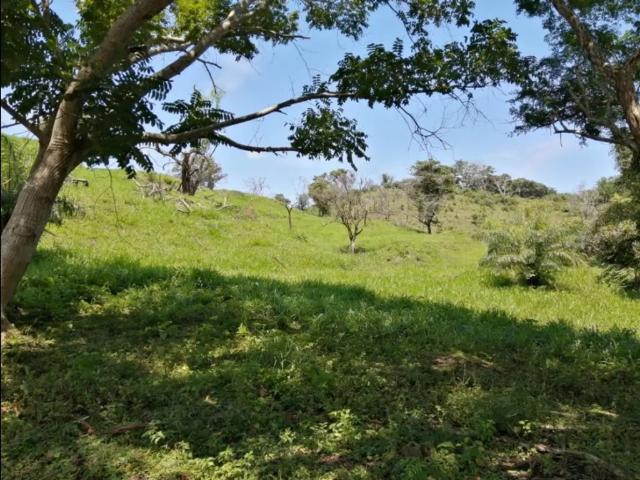 Cortijo de alto standing de 880000 m2 en venta Capira, Panamá