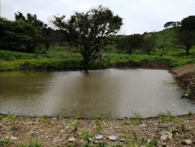 Cortijo de alto standing de 880000 m2 en venta Capira, Panamá