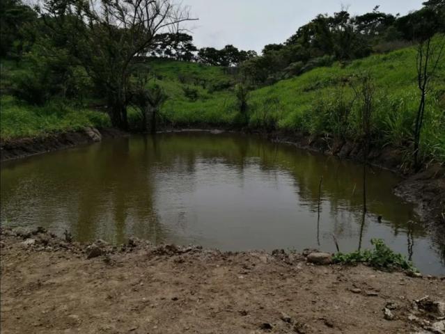 Cortijo de alto standing de 880000 m2 en venta Capira, Panamá