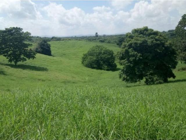 Finca en venta en Córdoba