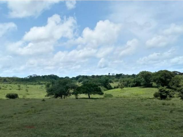 Finca en venta en Córdoba