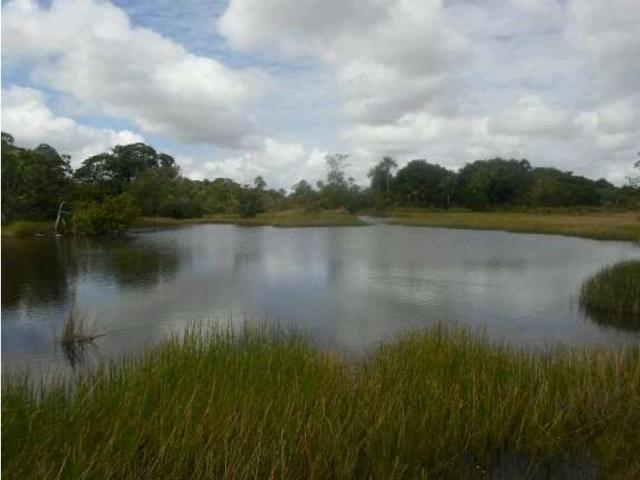 Propiedad en venta en Santa María De Ipire, Guárico