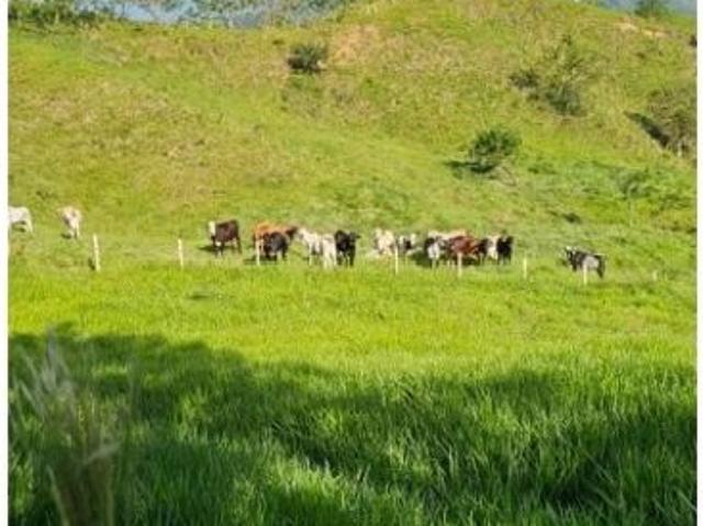 Finca en venta en Caldas, Chinchiná