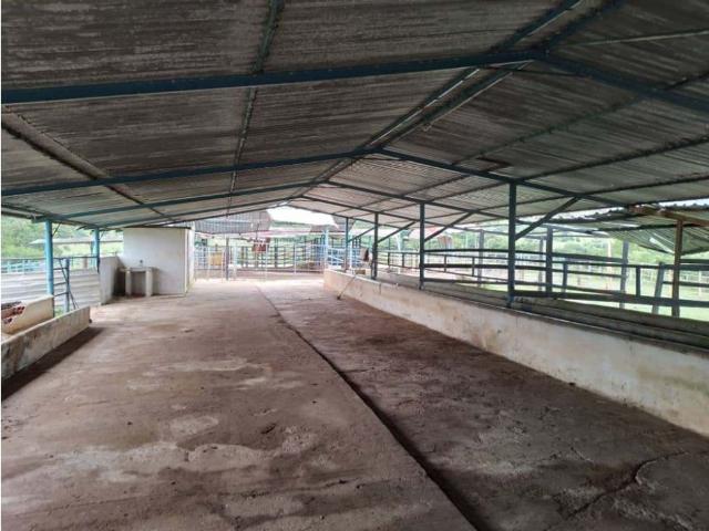 Propiedad en venta en Santa Ana De Coro, Falcón