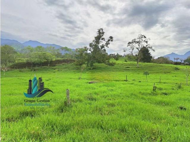 Cortijo de alto standing de 950000 m2 en venta Volcán, Panamá